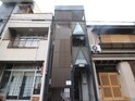 隼