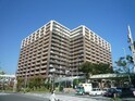 リーザス南千里(508)