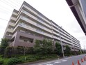 ﾌﾟﾗｲﾏﾘｰｺｰﾄ伏見桃山（７０２）
