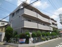 シロハイヌ小阪