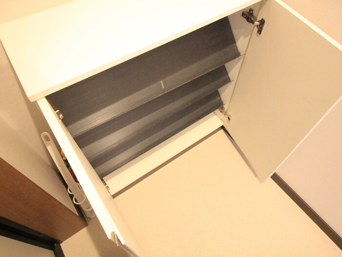 物件内観写真19　(玄関)