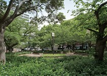 物件外観写真2　(周辺環境)