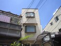 ブランシェルツ大枝