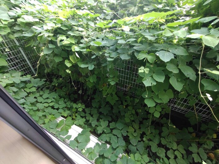 物件内観写真21　(ベランダ・バルコニー)