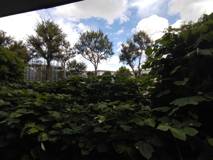 物件内観写真22　(室内からの展望)