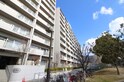 浅香山ｸﾞﾘｰﾝﾏﾝｼｮﾝ(419)