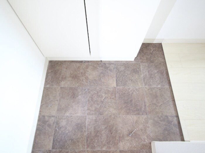 物件内観写真6　(玄関)