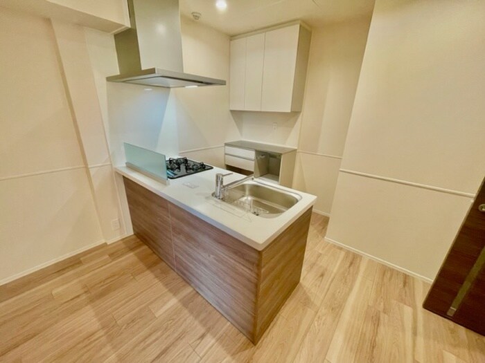 物件内観写真8　(キッチン)