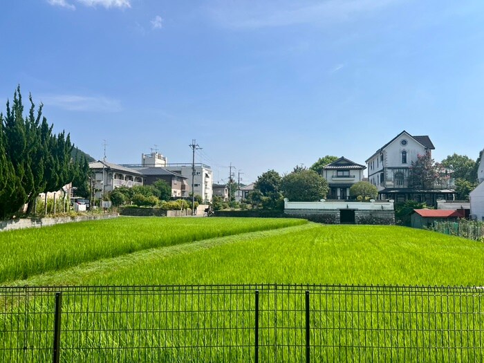 物件内観写真16　(室内からの展望)