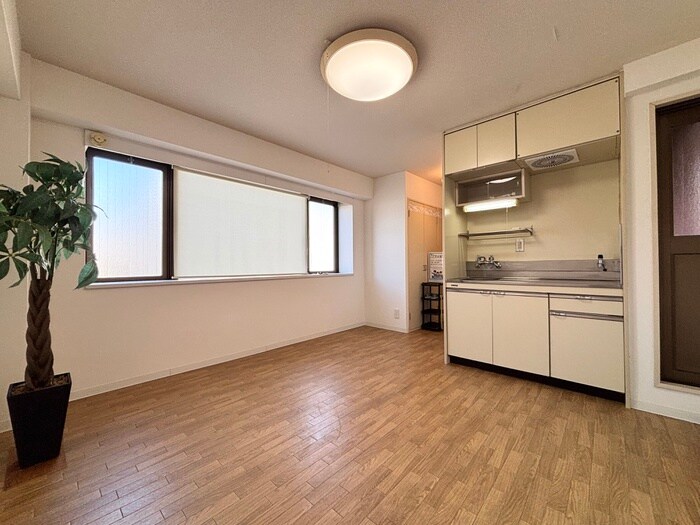 物件内観写真9　(居室)