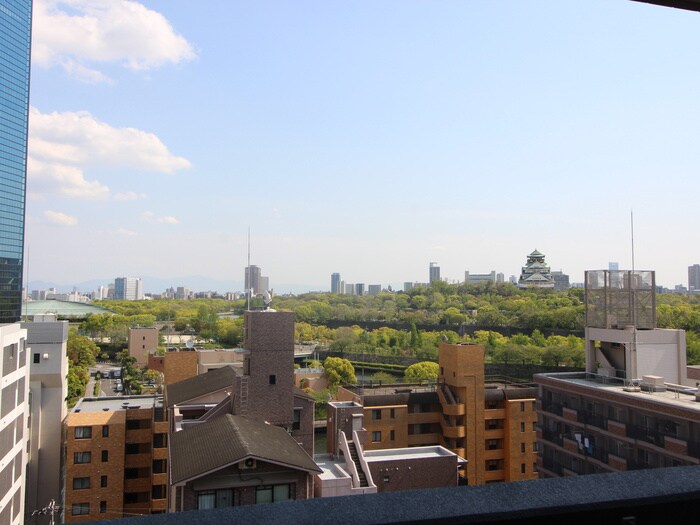 物件内観写真16　(室内からの展望)