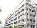ﾗｲｵﾝｽﾞﾏﾝｼｮﾝ香枦園ﾌﾟﾗ-ｼﾞｭ(403)