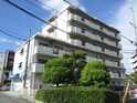 ヴェルドミール石崎