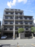 Rise 山野