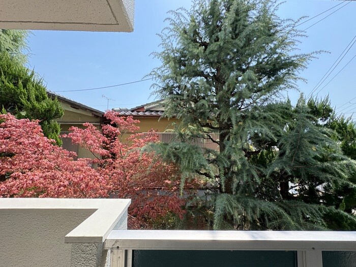 物件内観写真22　(室内からの展望)