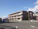コ－ジ－コ－ト