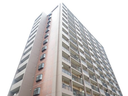 泉北原山台C団地１棟(501)外観写真