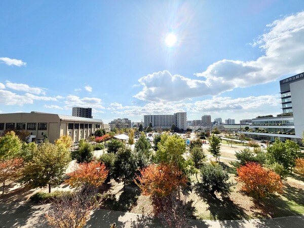 室内からの展望