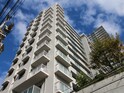 フォルザ住吉N棟(1001)
