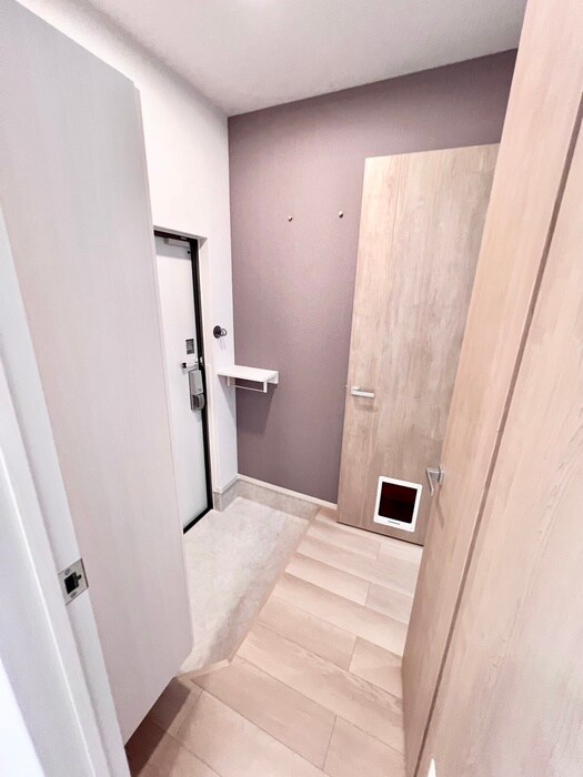 物件内観写真19　(廊下)