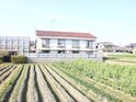 ワイドカレント稲野