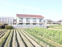 ワイドカレント稲野