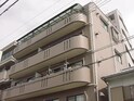 ドミール万代東