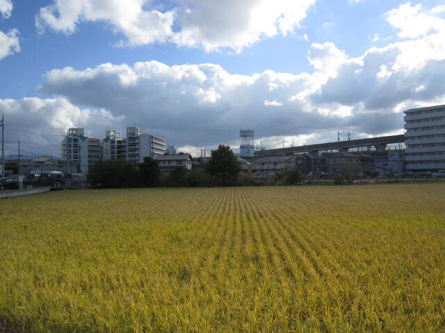 物件内観写真15　(室内からの展望)