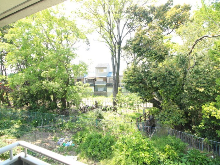 物件内観写真13　(室内からの展望)