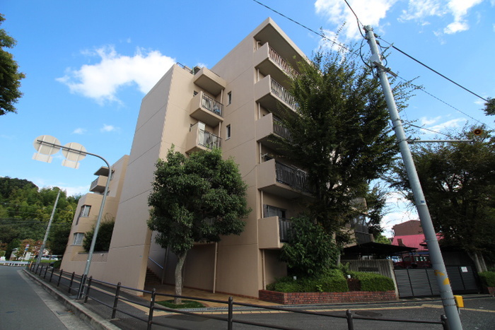 藤白台ﾛｲﾔﾙﾏﾝｼｮﾝ（203）