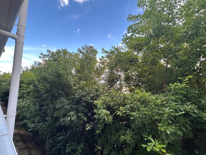 物件内観写真19　(室内からの展望)