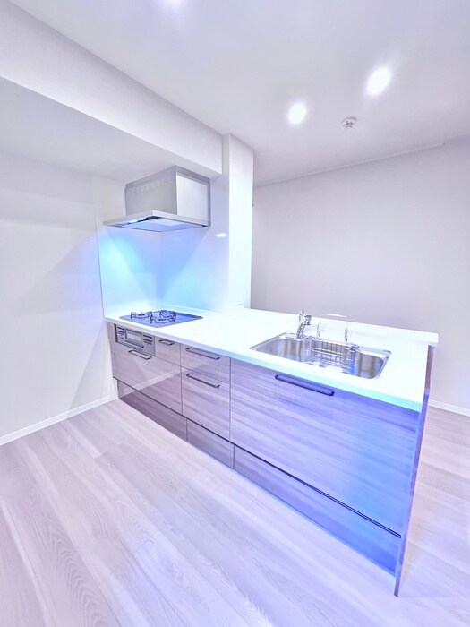 物件内観写真9　(キッチン)