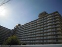 日商岩井緑地公園ﾏﾝｼｮﾝ（118）