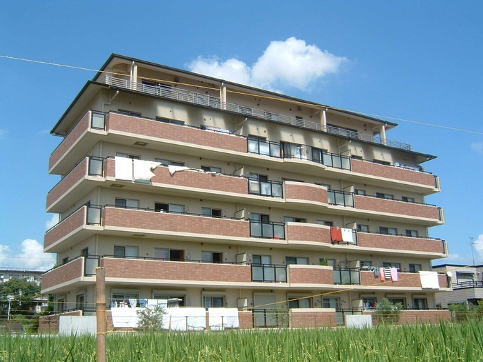 Ｈａｌｅ　Ｌａｕｌｅａ