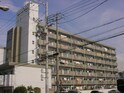 グリーンコーポラス