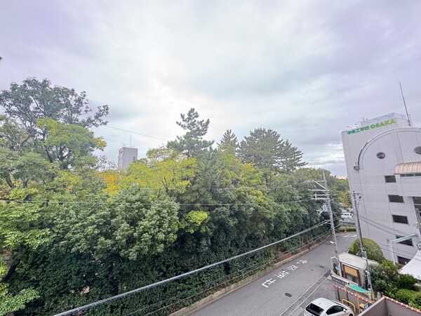室内からの展望