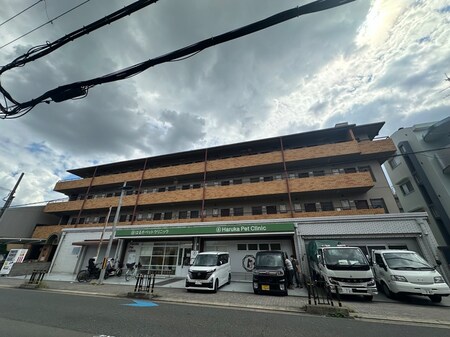 プラットホーム川端通り外観写真