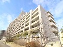 ﾋﾙﾄｯﾌﾟｺｰﾄｼﾞｪｰﾑｽ山(715)