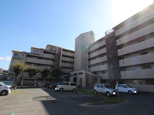 松原小川園ﾛｰﾚﾙｺｰﾄ（209）外観写真