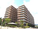 パレスエクセル仁川（408）