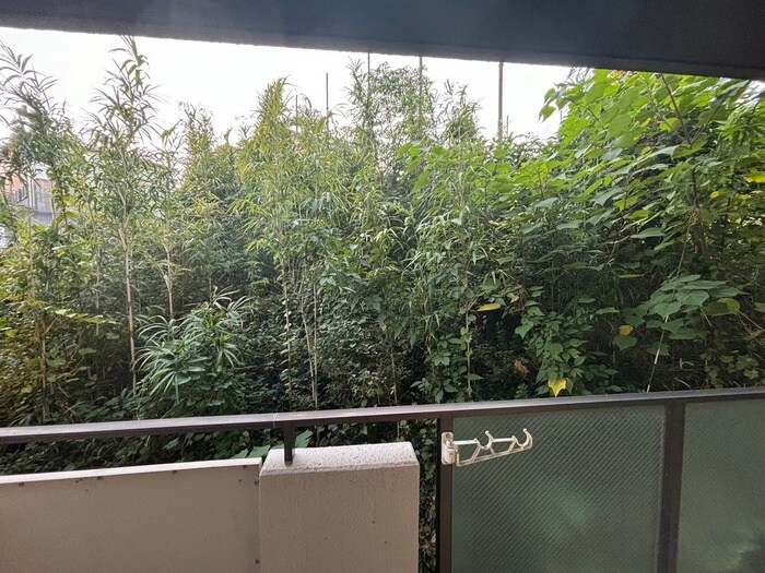 物件内観写真15　(室内からの展望)