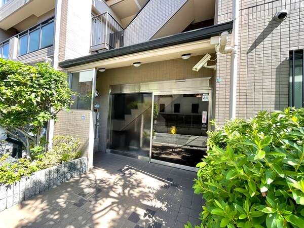 同型モデル