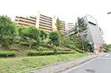 ﾊﾟｰｸｼﾃｨ梅が丘ﾌﾟﾗﾑﾋﾙｽﾞ（817）