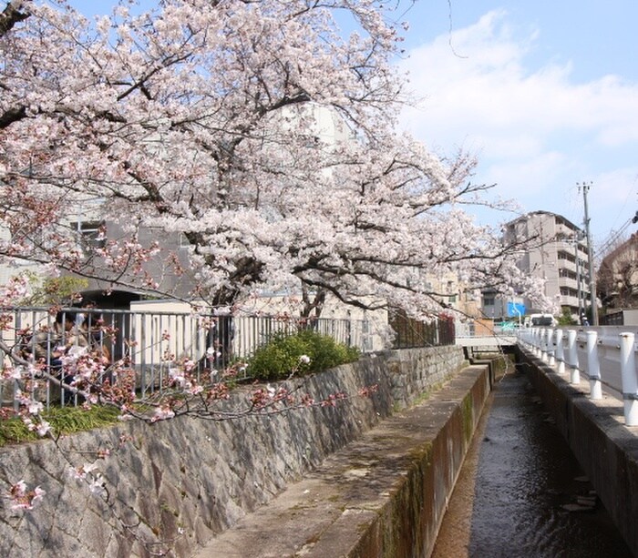 物件外観写真5　(周辺環境)