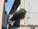 吉田文化
