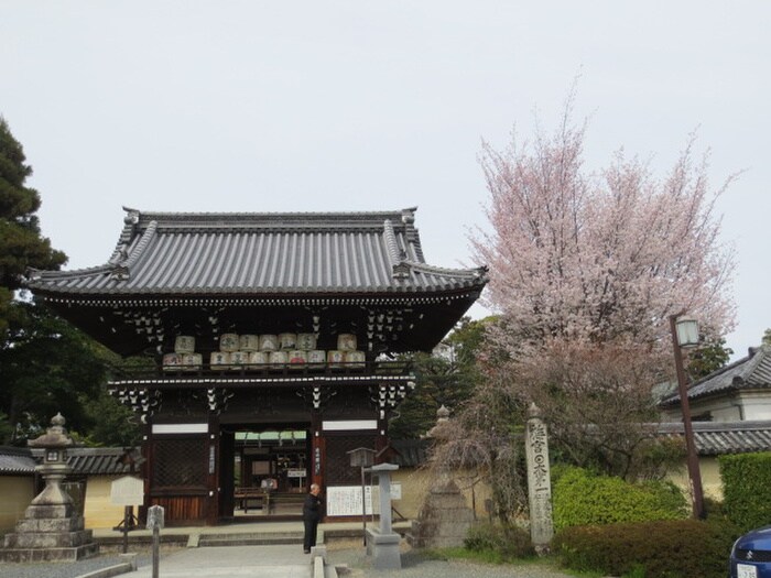 物件外観写真5　(周辺環境)