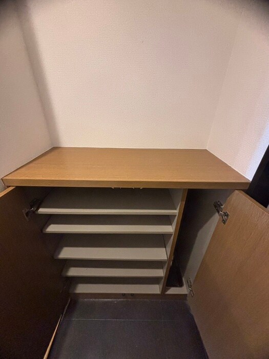 フレーシア布施の靴箱