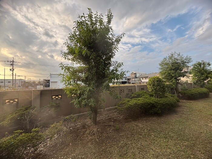 物件内観写真22　(室内からの展望)