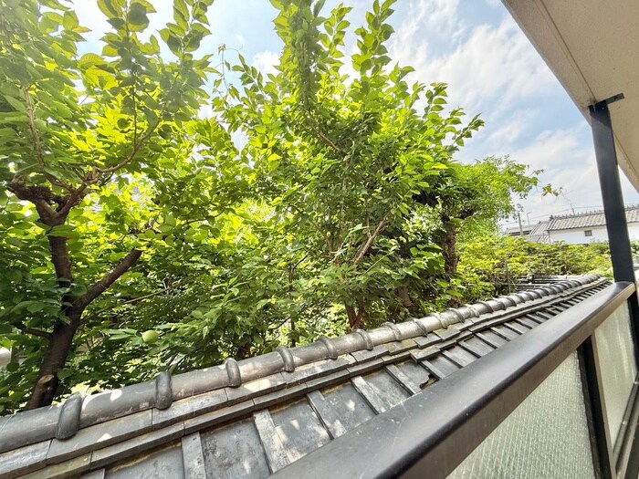 物件内観写真22　(室内からの展望)