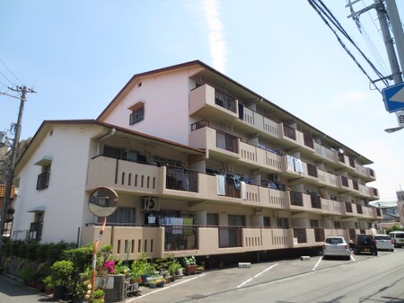 ベルメゾン住吉外観写真